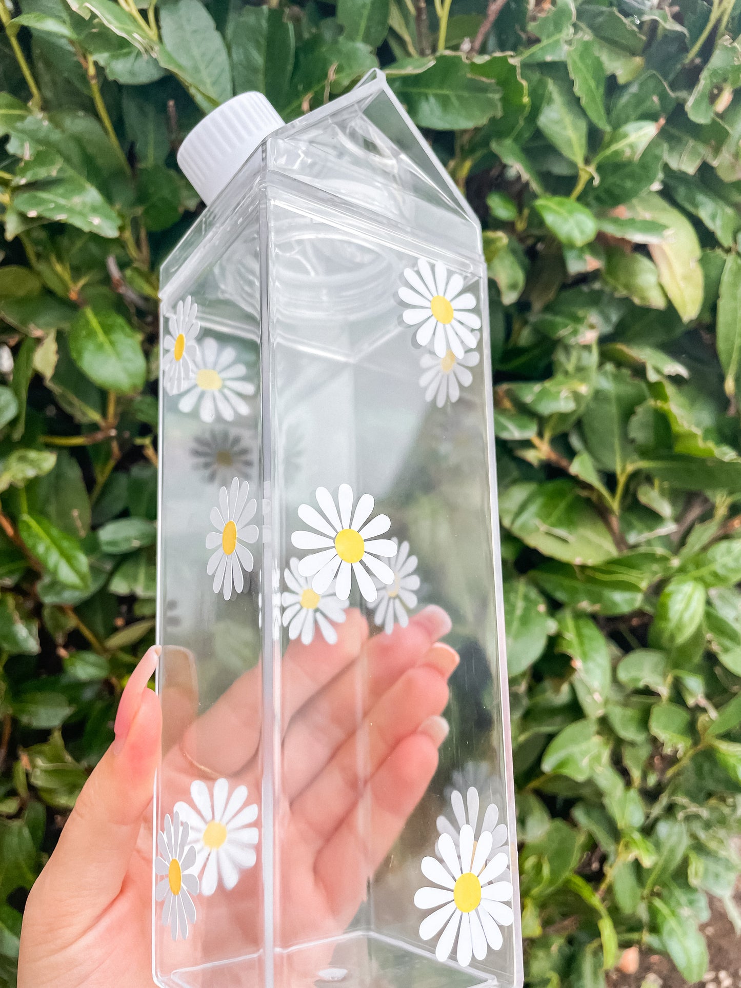 Daisies milk carton water bottle
