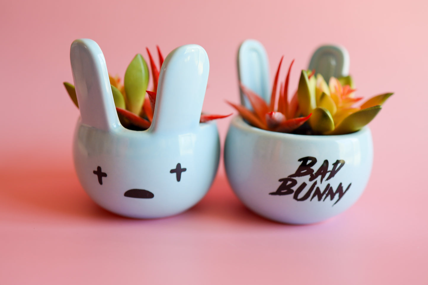Blue Bad Bunny Succulent