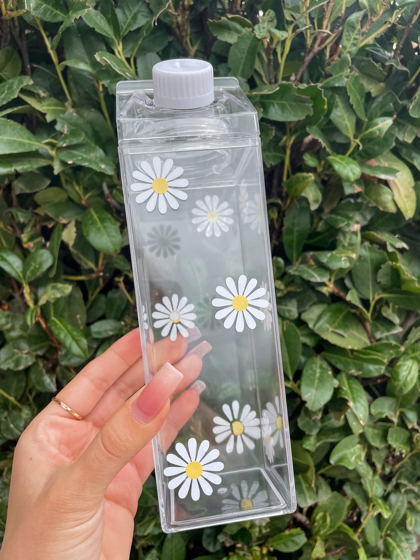 Daisies milk carton water bottle