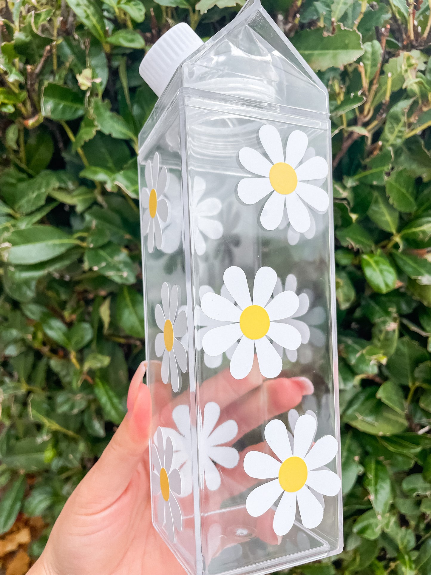 Daisies 2.0 milk carton water bottle