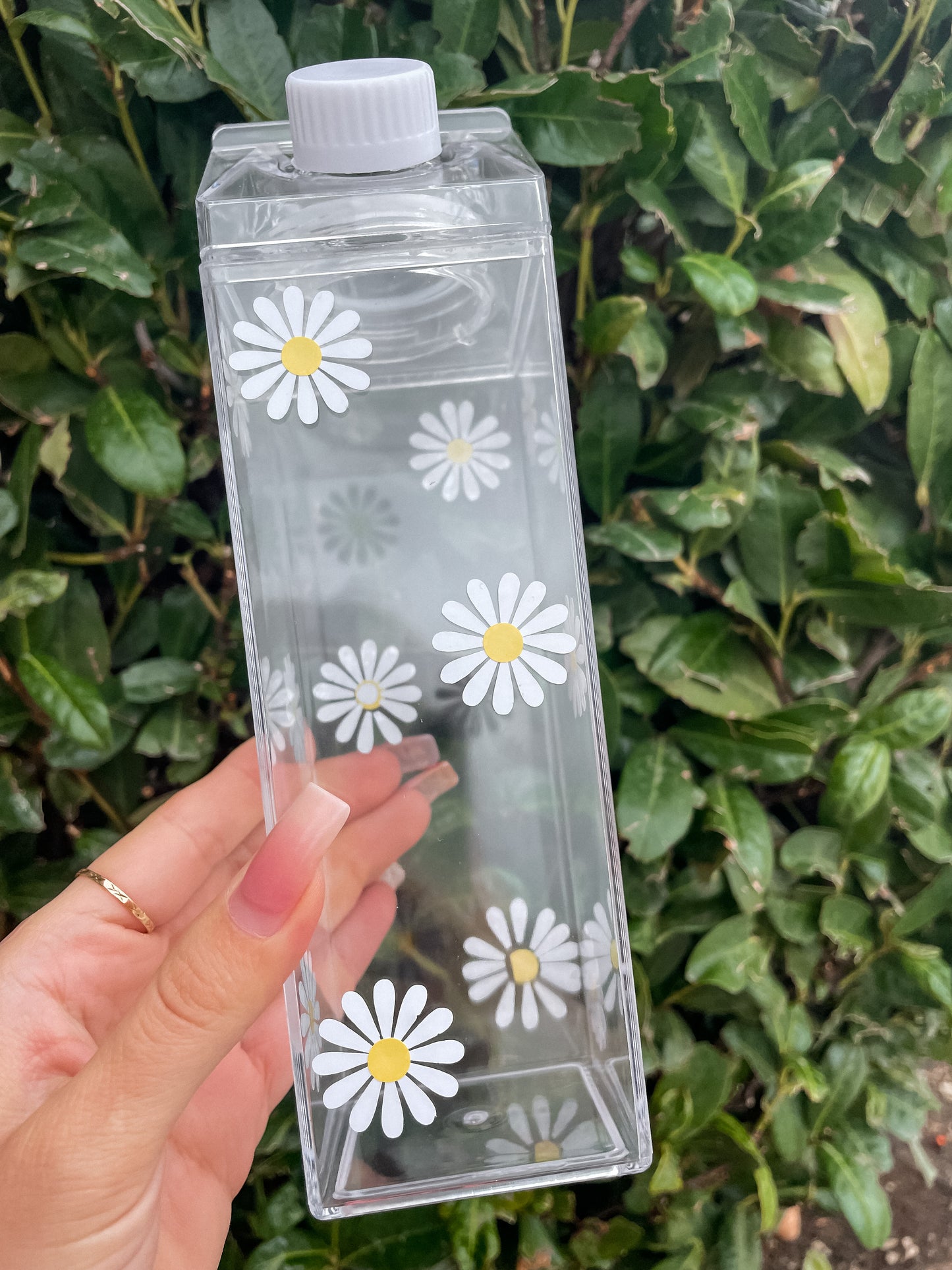 Daisies milk carton water bottle