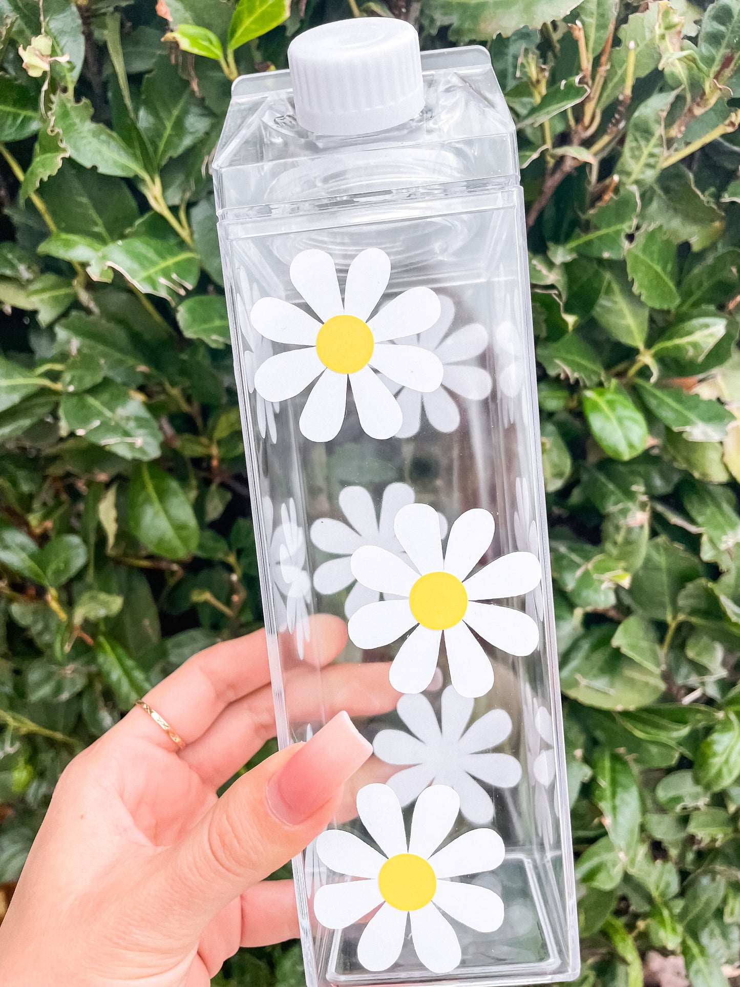 Daisies 2.0 milk carton water bottle